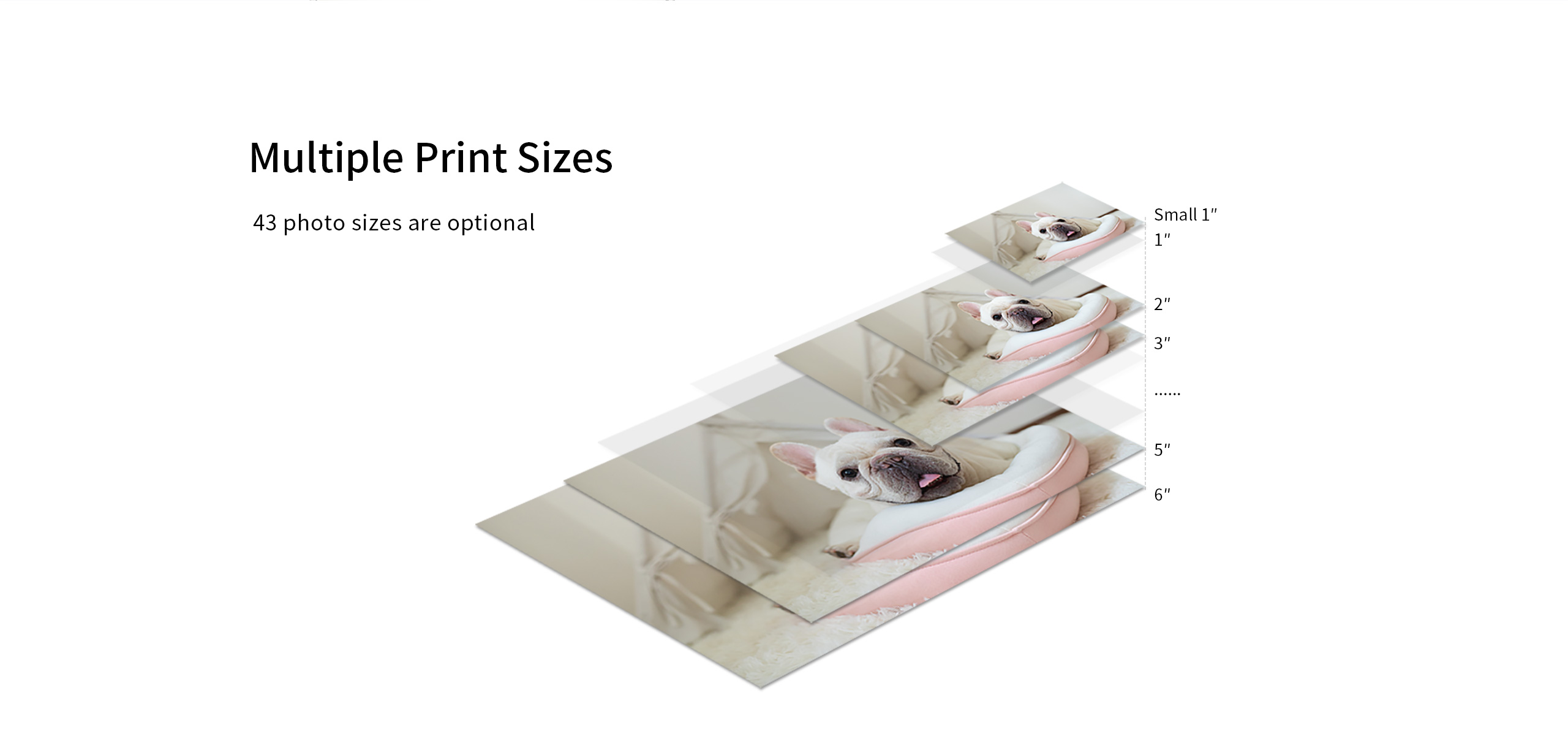 multiple print sizes photo printer